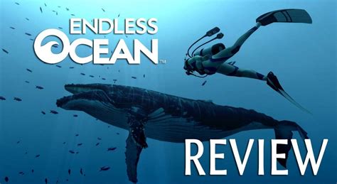 RELAX Y ADISFRUTAR!! REVIEW de ENDLESS OCEAN para Wii - YouTube