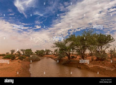 Desert river, Saudi Arabia Stock Photo - Alamy