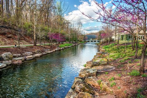 Crystal Bridges Museum River Trail - Bentonville Arkansas Photograph by ...