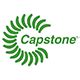 Why I Stopped Wringing My Hands and Finally Bought Shares of Capstone Turbine | The Motley Fool