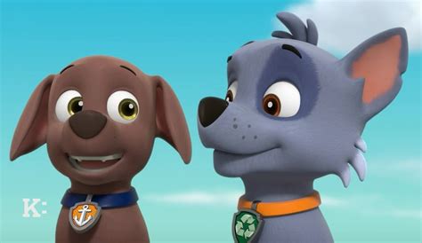 Rocky & Zuma | Paw Patrol Relation Ship Wiki | Fandom