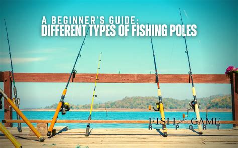 Ultimate Guide: Different Types of Fishing Poles - Fish and Game Report