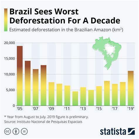 Infographic: Brazil Sees Worst Deforestation In A Decade