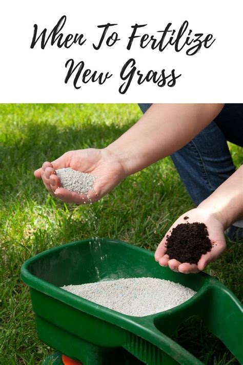 When To Fertilize New Grass | Grass fertilizer, Lawn fertilizer, When to plant vegetables