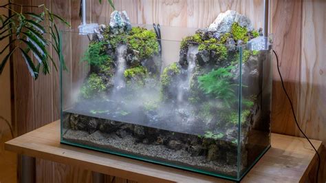 empty 25 gallon aquarium looking to raise fish | Page 2 | Sherdog ...