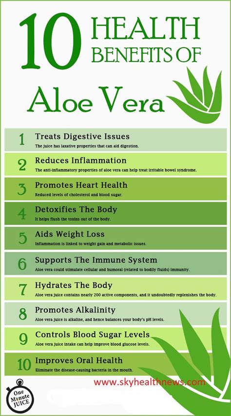 What Are the Real Benefits of Aloe Juice? #aloevera #aloeverajuice ...