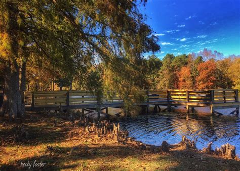 Arkansas State Parks (@ARStatePark) | Twitter