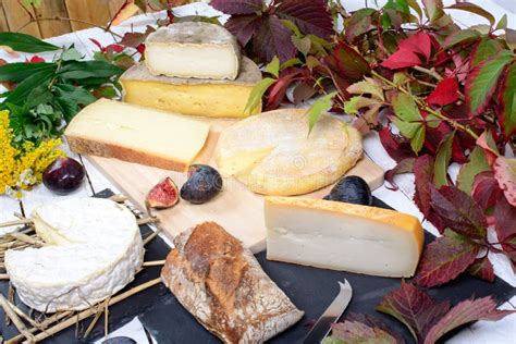 French cheese platter stock photo. Image of cuisine, french - 44871752