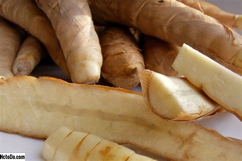 What Is Arrowroot;15 Arrowroot Benefits For Skin, Hair And Health - Notes Read