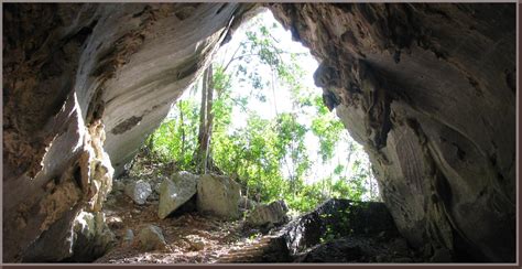 Cuba Wildlife Matching Game: Caves