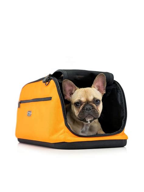 Dog Car & Travel Accessories – Best of Dog