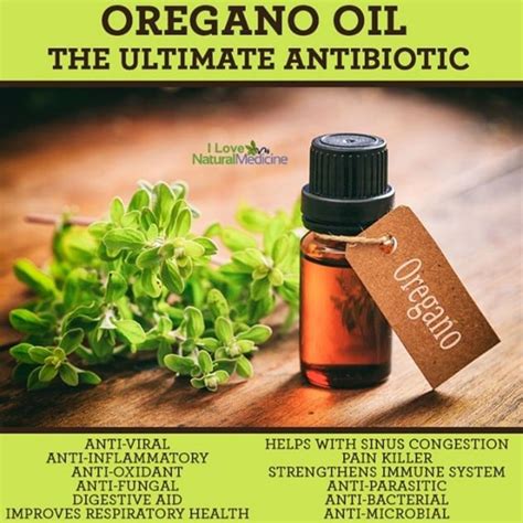 Oregano Oil | Oregano oil, Natural medicine, Digestion aid