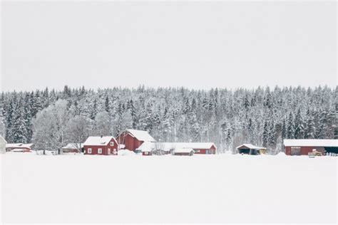 WINTER TRAVEL GUIDE - SWEDISH LAPLAND PART 1 - Lobster and Swan