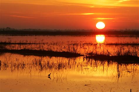 Free picture: sunrise, red