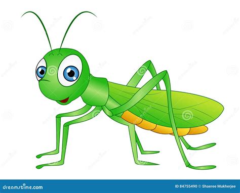 Grasshopper Cartoons, Illustrations & Vector Stock Images - 7984 Pictures to download from ...