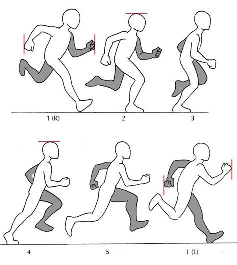 Human Anatomy Fundamentals: Additional Tips | 드로잉 기법, 인물 드로잉, 액션 포즈 드로잉