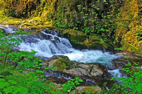 Sweet Creek Falls - Hike near Mapleton, Oregon - Free Arenas