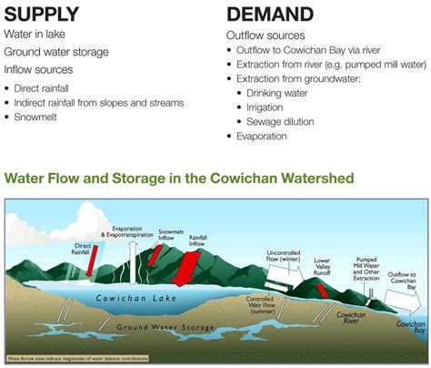 Weir Design – Cowichan River Water Supply