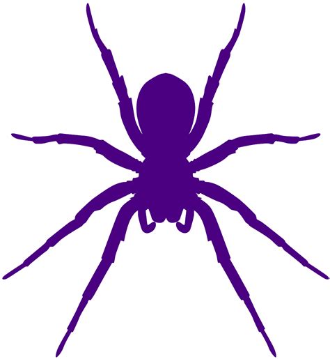 Spider Silhouette | Free vector silhouettes