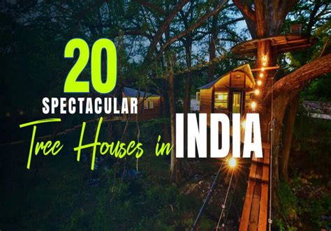 20 Best Tree Houses in India | Adotrip