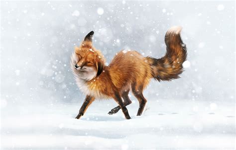 Fox In Snow Wallpapers - Wallpaper Cave