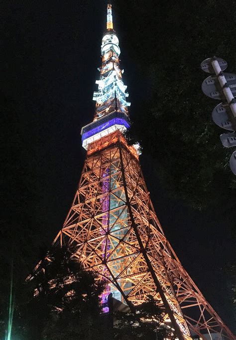 Night style of Tokyo Tower | SOSHI'S TOKYO BIKE TOUR