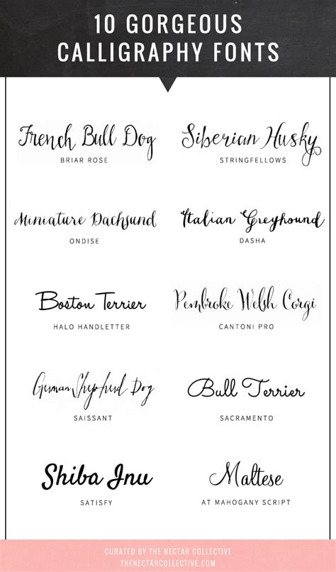 10 Gorgeous Calligraphy Fonts - Melyssa Griffin