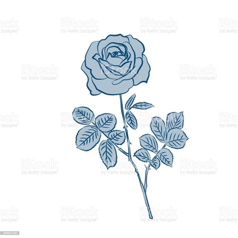 Blue Silhouette Of Rose Stock Illustration - Download Image Now - Abstract, Art, Beauty - iStock