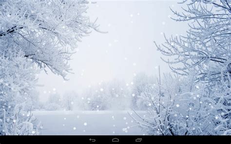 🔥 [76+] Free Winter Backgrounds Wallpapers | WallpaperSafari