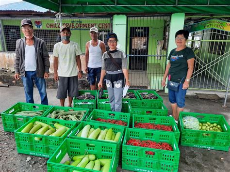 Rice Farmers in the Philippines Add Vegetables to Their Crop Lineup - East-West Seed Knowledge ...