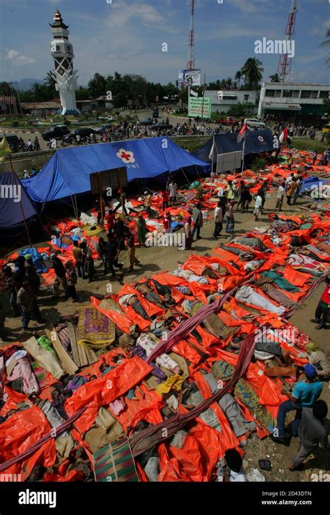 QUALITY REPEAT Aerial view of the bodies of thousands of tsunami victims in the Indonesian ...