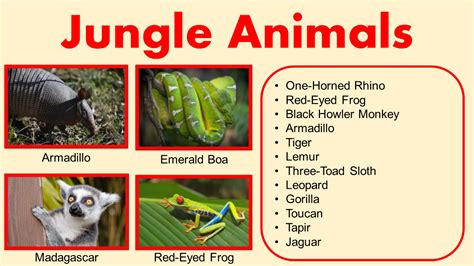 List Of Jungle Animals In India - Printable Online