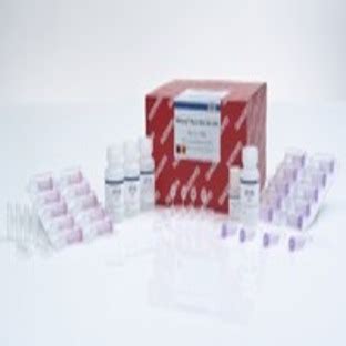 RNeasy Plant Mini Kit (50), 74904 from Qiagen - Labsave