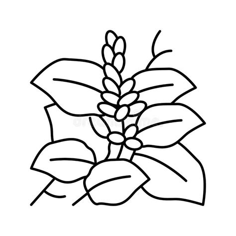 Kudzu Plant Line Icon Vector Illustration Stock Vector - Illustration of line, flower: 254429842