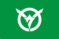 Sakado (Japan), flag - vector image