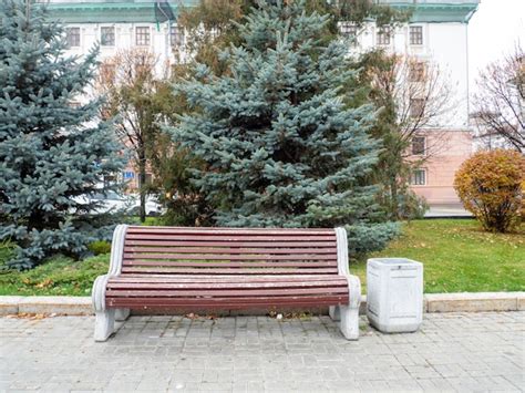 Premium Photo | Bench in the autumn park wooden seat