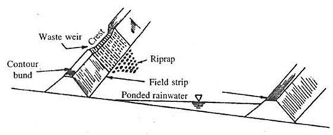 Difference between contour bunds and graded bunds - Brainly.in