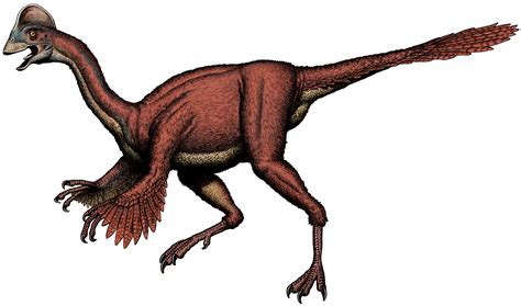 New Chicken from Hell feathered dinosaur found in Dakotas | Earth ...