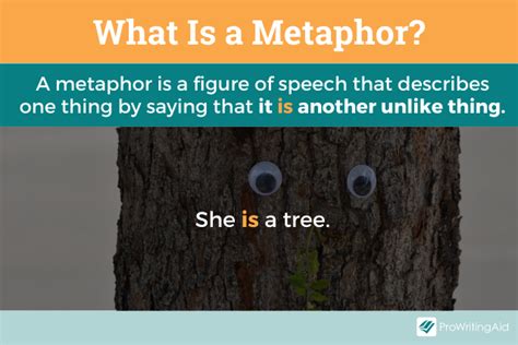 What Is a Metaphor? Definition, Meaning, and Examples