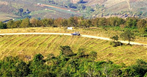 Black Car on Road Through Farm Field · Free Stock Photo