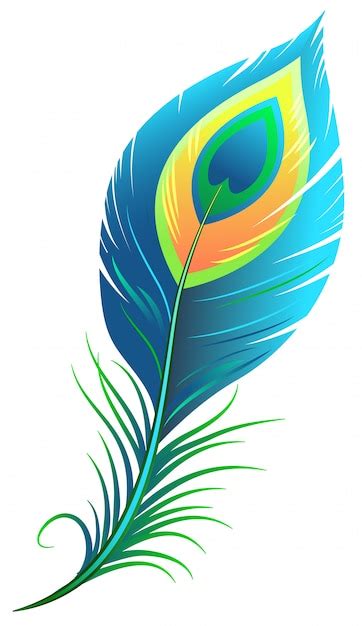 Peacock feather | Premium Vector