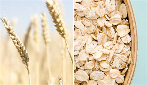 Oat Flour vs. Wheat Flour: Nutrition & Substitutes | Thrive Market