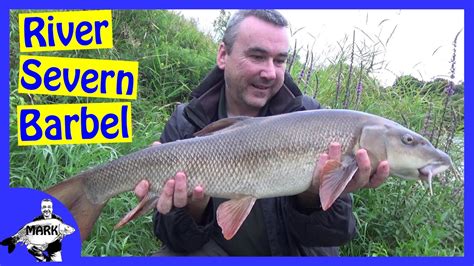 Barbel Fishing on the River Severn - POBSE