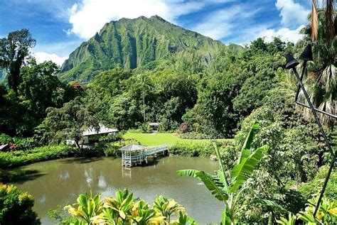 Haiku Gardens - Hawaii Venues - Lush landscape for a garden wedding Top Destination Weddings ...