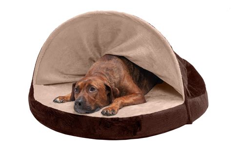 Soft Snuggery Burrow Dog Beds - Microvelvet | Furhaven.com — Furhaven Pet Products