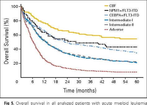 Figure 5 from Long-term prognosis of acute myeloid leukemia according ...