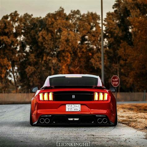 Slammed Coyote Mustang | Ford mustang, Bmw