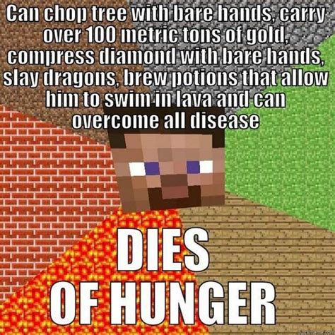 85 Funny Minecraft Memes Celebrating 10 Years of Gaming Goodness | Minecraft funny, Minecraft ...