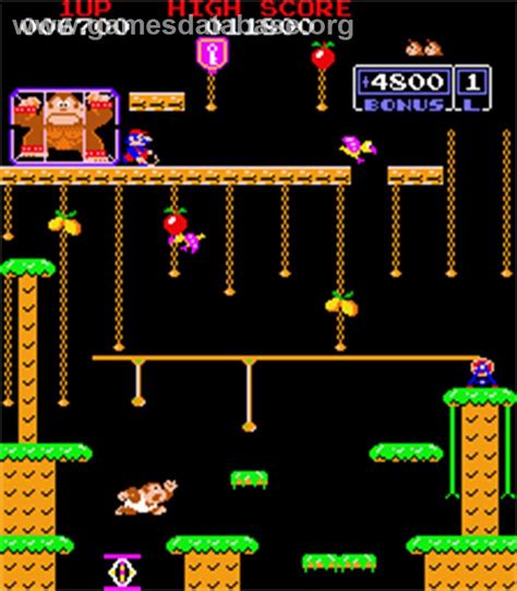 Donkey Kong Jr. - Arcade - Games Database