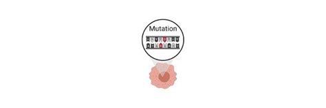 Mutagen: Definition, Types, and Examples I ResearchTweet